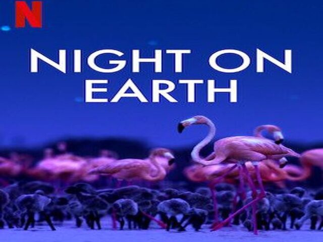 Night on Earth الليل على كوكبنا