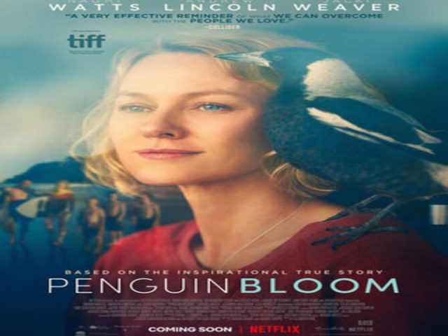 فيلمPenguin Bloom البطريقة بلوم