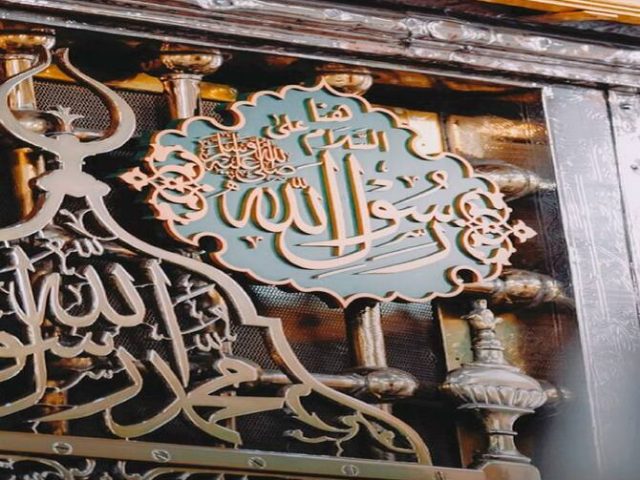 أخلصت حبي للخيل المصطفى