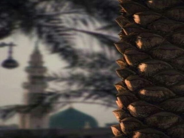 هجـــرة !